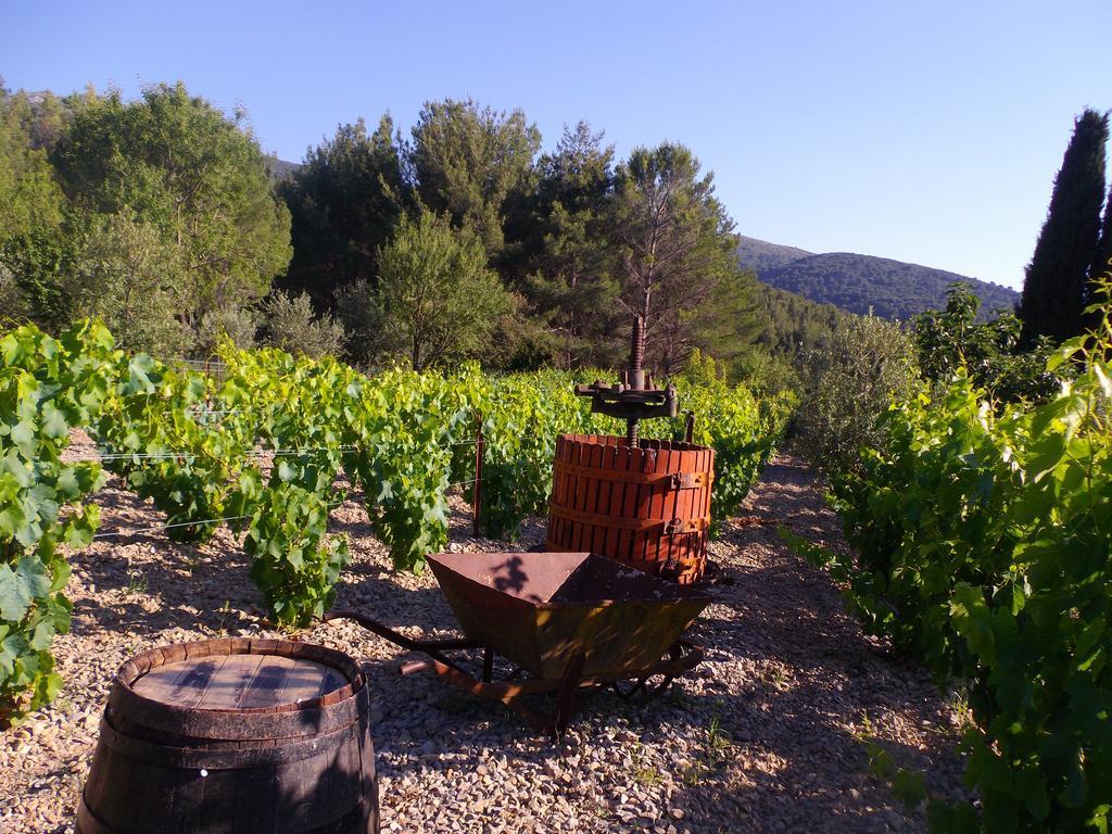 Au Havre De Paix Sainte Victoire Vauvenargues Otel Dış mekan fotoğraf